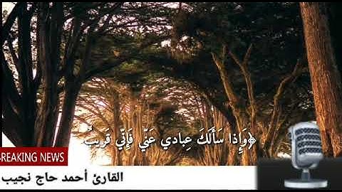 حالات واتس أب وذاسألك عبادي عني فإني قريب بصوت القارئ احمد حاج نجيب 😍😍😍😍😍