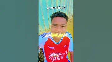 ما في زول مجبور علي اغنية تشادية 