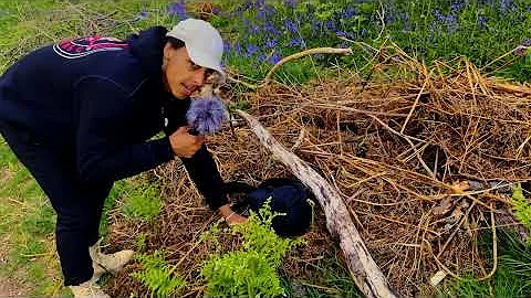 ASMR in the Countryside (Nature Sounds & Tingles) thumbnail