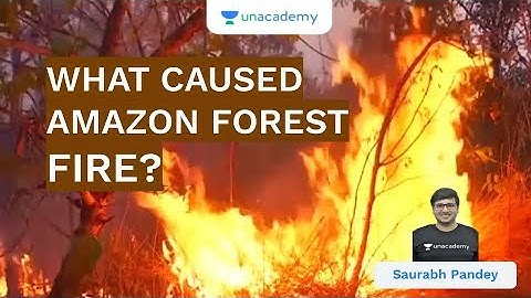 What Caused Amazon Forest Fire? | UPSC CSE/IAS 2020 | Saurabh Pandey