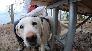 02/28/2020 Hiking with dog at Saint Edward State Park | Studio WAVE Sample Video 0:47 HD 1080p