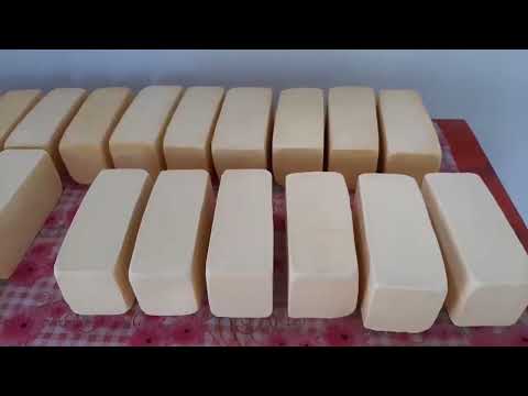 CAJAMARCA: COIMOLACHE INAUGURA QUINTA PLANTA LECHERA EN DISTRITO DE CHUGUR