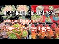 새아침다육의 새해맞이 특별세트할인가 5만원이상 선물증정 택배가능 (Feat.010-3361-7804)