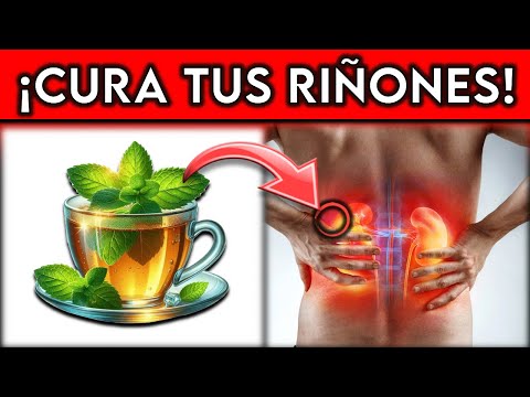 BEBIDA #1 que MEJORA tus RIÑONES || ¡EVITA la DIALISIS!