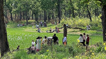 BATULI POKHARI || Natural Beauty and Natural environment in Bharatpur Chitwan District Nepal.