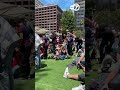 SF fans celebrate USMNT win over Australia