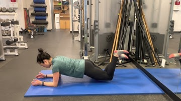 Knee Plank Knee Lift