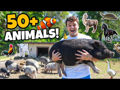 Day in My Life with 50+ ANIMALS on FARM!!