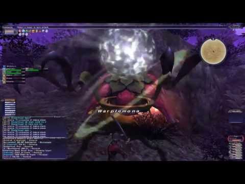 Video: Squenix Pe Raportul De Continuare FFXI