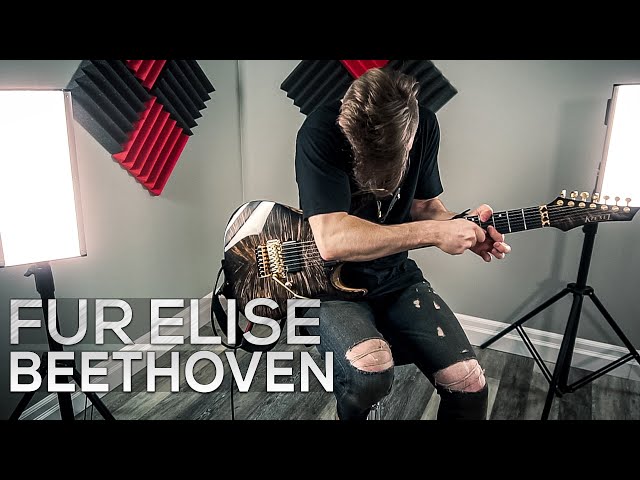 Für Elise - Ludwig Van Beethoven - Cole Rolland (Metal Cover) class=