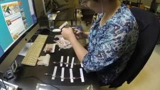 Trik Show Tess Martin Making Of The Lost Mariner