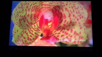 Обзор Cube U30GT.mp4