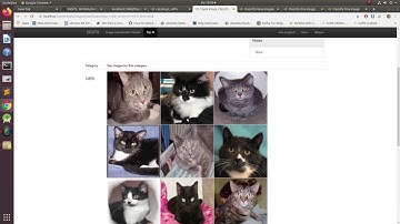 TRAINING DEEP LEARNING MODELS WITH NVIDIA DIGITS part 2