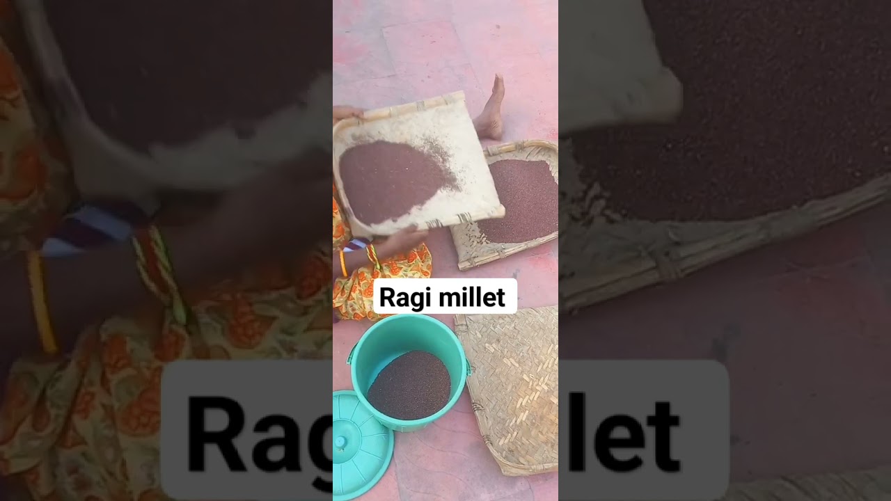 Natural way of cleaning Ragi millet!