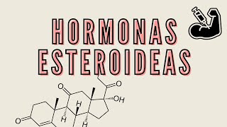 Bioquímica/Lípidos - Hormonas esteroideas (estructura y biosíntesis) - sem 9 URP screenshot 5