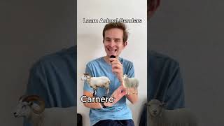 Think You Know Spanish? Gallina 🐓 ‼️