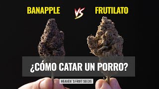 ¡BATALLA ÉPICA! ¿COMO CATAR UN PORRO?