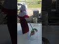 Jihan menyapu teras kelas 1