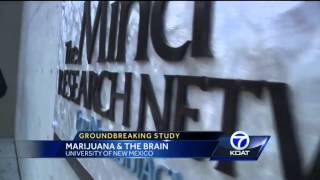 UNM Pot Study