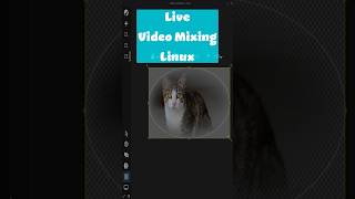 Easy Live Video Mixing on Fedora Linux