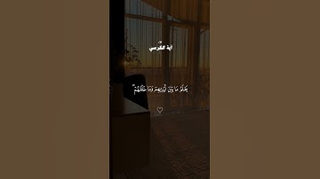 #القران #quran #القران_الكريم #quran_alkarim #تلاوة_خاشعة