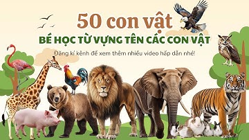 Con Gì Đây - Dạy Bé Tên Hơn 50 Con Vật Cho Bé Học Nói Nhanh - Bé Tìm Hiểu Về Thế Giới Động Vật