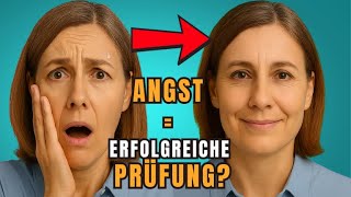 Hundetrainer-Prüfung So Bestehst Du Sie