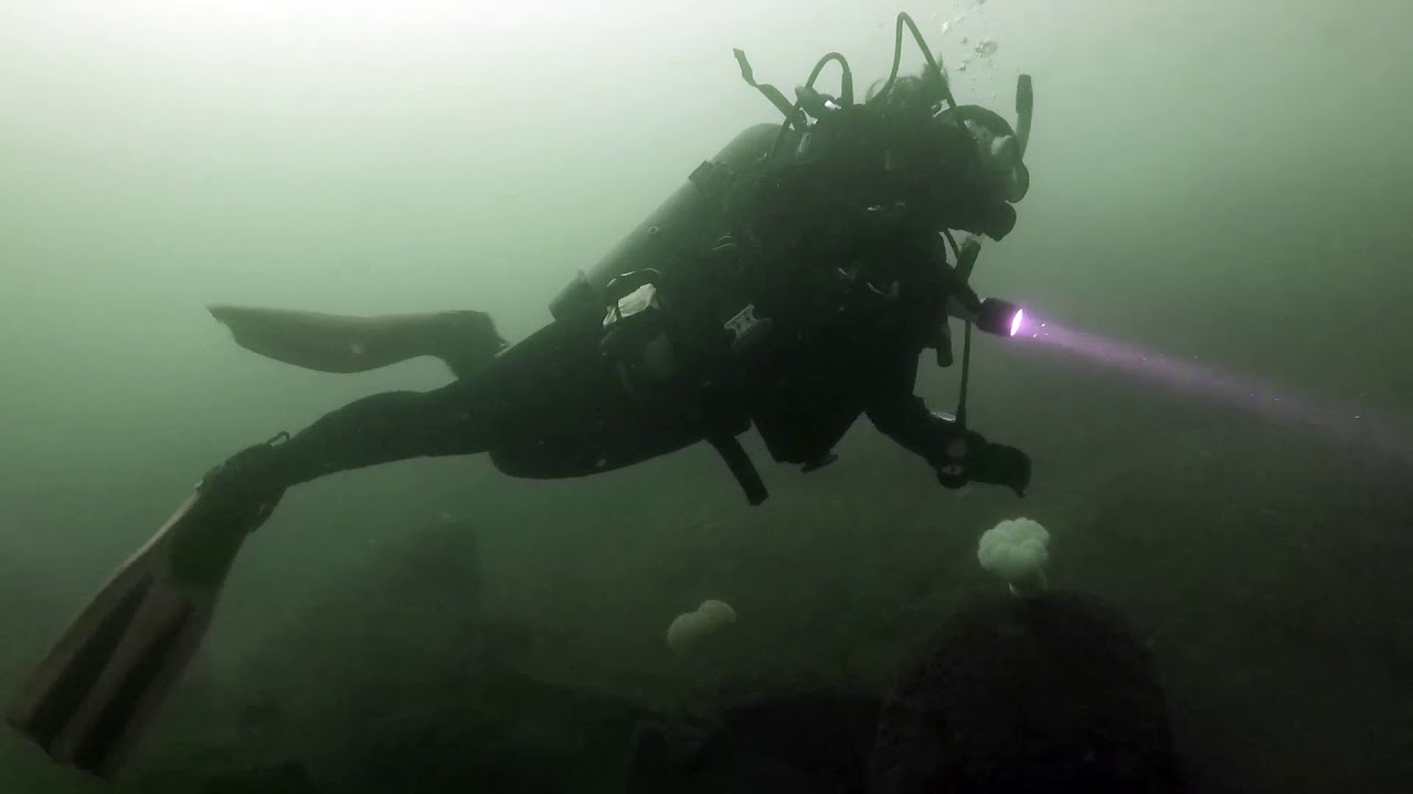 Diving Sund Rock November 2019 YouTube
