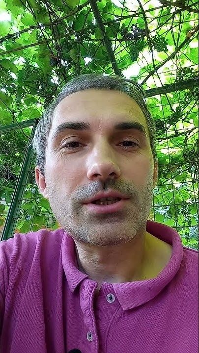 КРОЛИКА ВОЛКИ ПОБАИВАЛИСЬ Смешные анекдоты про зверей - YouTube