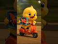 Duck Amazing Funny Airplane and Boat Adventure  | Funny Kids Animated Videos #kidsfun