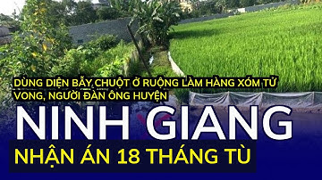 Dùng diện bẫy chuột ở ruộng làm hàng xóm tử vong, người đàn ông