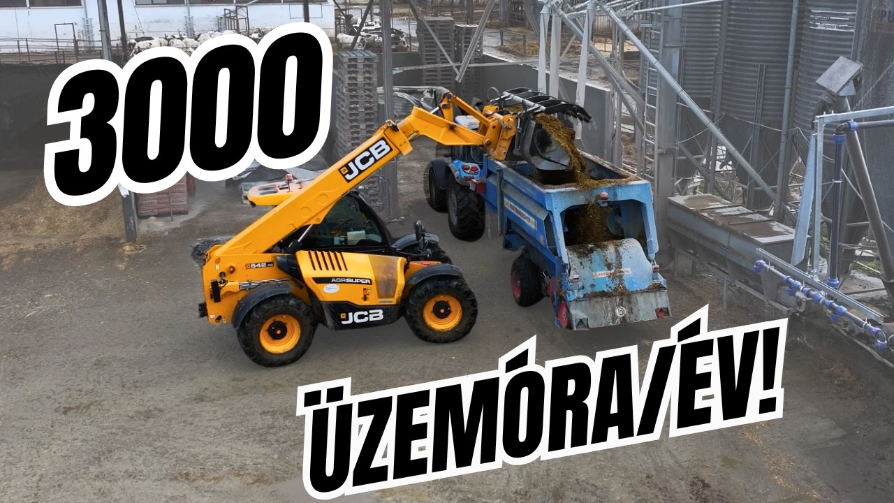 Így dolgoznak a JCB rakodók egy 1000+ állatos telepen