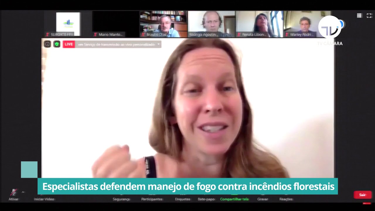Especialistas defendem manejo de fogo contra incêndios florestais