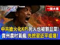 中共對火化的政策爭議