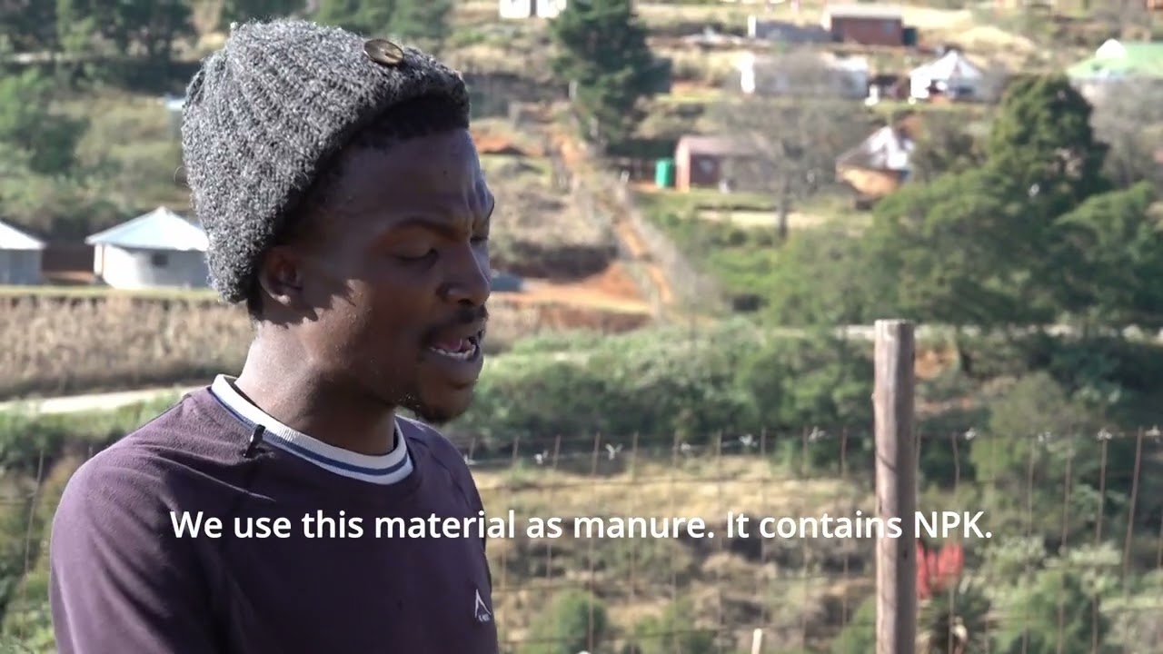 Learning Exchange: Worm Tea, Thobani Fezile Zondi