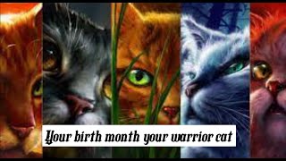 Your birth month your warrior cat