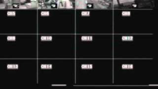 camTL-20101118.mp4