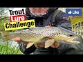 Trout fishing but i have to change the lure after every fish fishing challenge