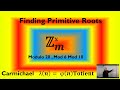 Finding Primitive Roots Modulo n for Various Modulus Classes