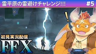 #5【FF10 初見実況】雷平原の雷避けチャレンジ!!!