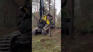 The Power Of The John Deere 1270G Harvester #Johndeere #Harvester #Viral #Trending #Farming #Tree