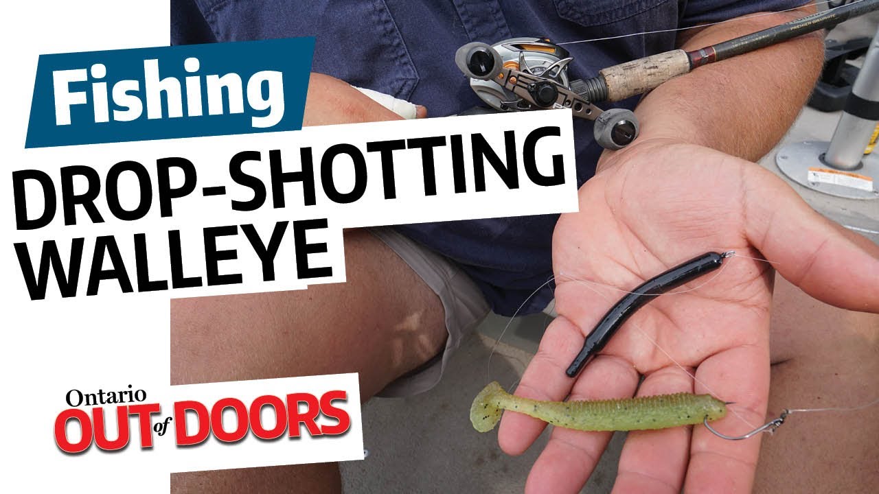 Drop-shotting walleye 