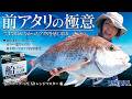 【取れなかったアタリを獲る】″田中亜衣”直伝のタイラバ術 ！in愛媛