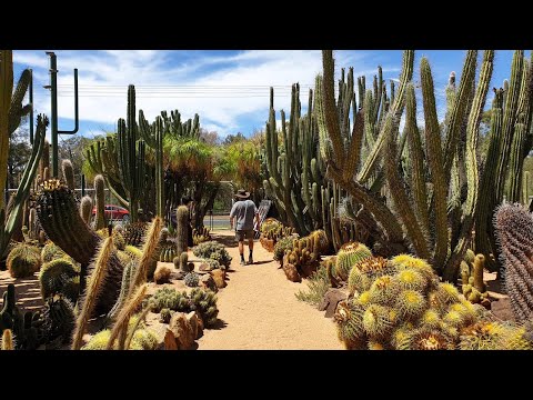 ไปสวนแคคตัสใหญ่ที่ Australia มาค่ะ คิดถึงทุกคน อยากให้มาเห็น ดูโปรโมทก่อนนะคะ Cactus Journey