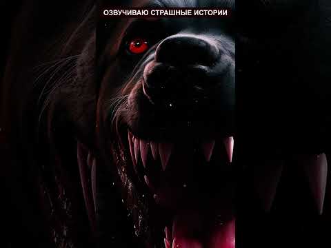 #тревога #мистика #страшные истории #ужасы