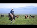 The Last Cowboy at Pine Creek Ranch