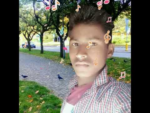 bhojpuri holi com