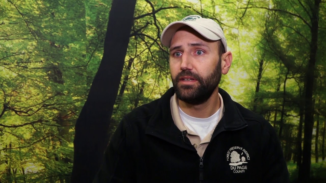 Willowbrook Wildlife Center