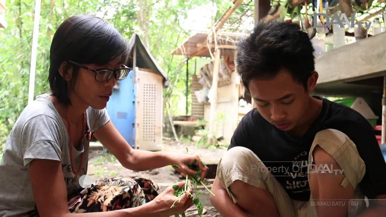 KEBUN PANGAN SELARAS ALAM - BUMIKU SATU DAAI TV