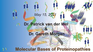 Dr. Patrick van der Wel and Dr. Gareth Morgan (May 15, 2021) - ZOOMinar on \